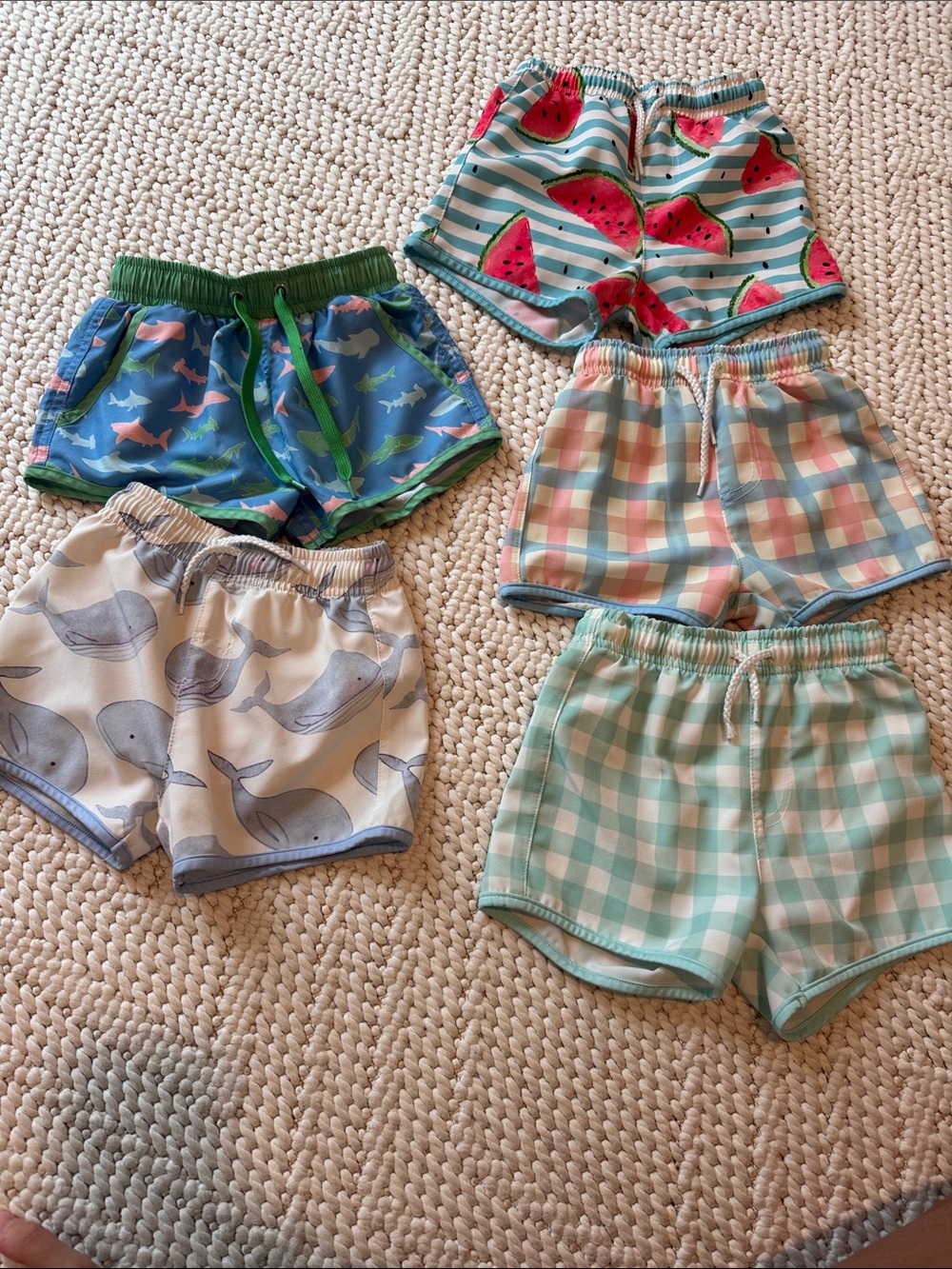 Boys Swim 2t 3t bundle